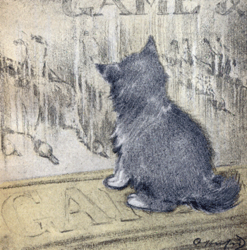 The Rubaiyat of A Persian Kitten