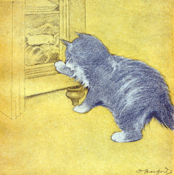 The Rubaiyat of A Persian Kitten