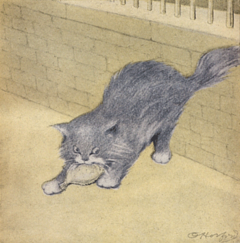 The Rubaiyat of A Persian Kitten