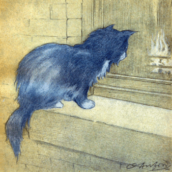 The Rubaiyat of A Persian Kitten