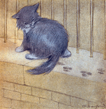 The Rubaiyat of A Persian Kitten