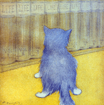 The Rubaiyat of A Persian Kitten