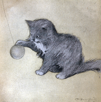 The Rubaiyat of A Persian Kitten