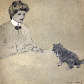 The Rubaiyat of A Persian Kitten