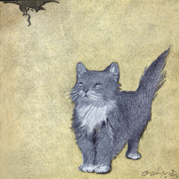 The Rubaiyat of A Persian Kitten