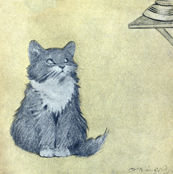 The Rubaiyat of A Persian Kitten